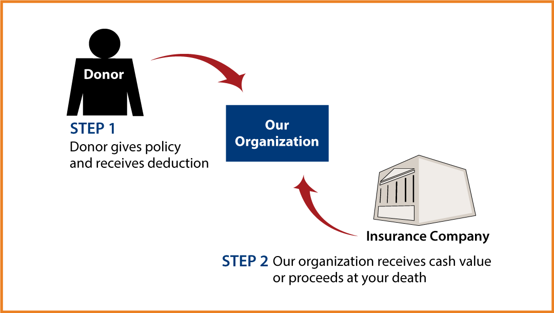 Life Insurance Policy Thumbnail